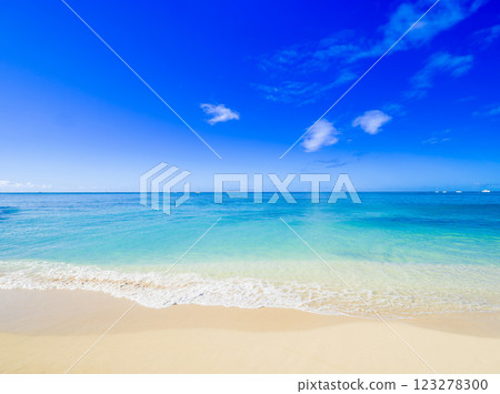 Summer, sea and beach image Hawaii Summer, sea and beach image Hawaii 123278300