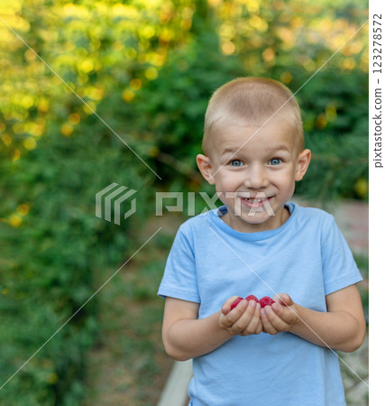 A happy child holds a raspberry that he has just picked. Looking into the camera A happy child holds a raspberry that he has just picked. Looking into the camera 123278572