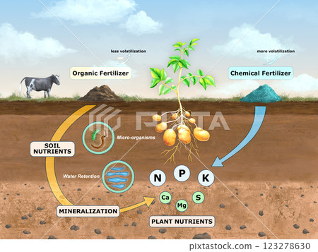 Soil fertilization methods 123278630