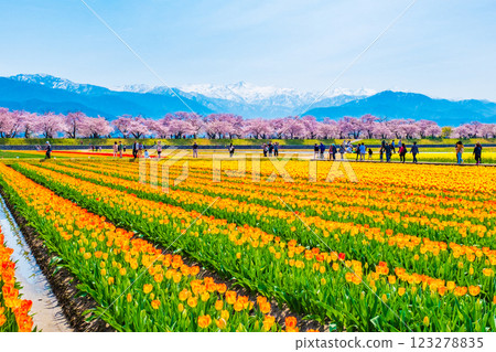 Asahi Funakawa Spring Quartet Asahi Funakawa Spring Quartet 123278835