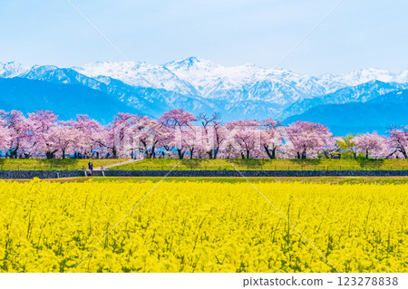 Asahi Funakawa River, Spring 123278838