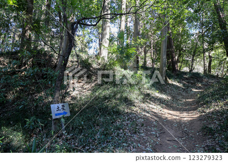 Washi Castle ruins in Oyama City, Tochigi Prefecture 123279323