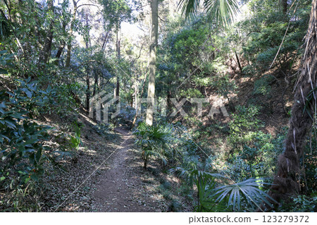 栃木縣小山市和紙城遺址內外城之間的護城河和土石方 123279372