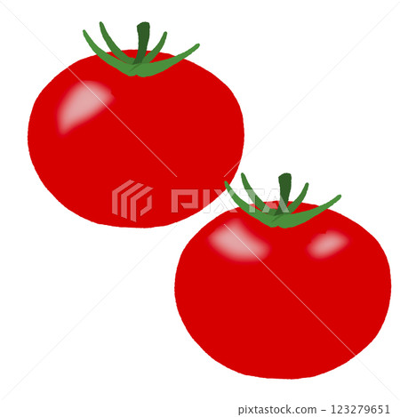 Tomato Tomato 123279651
