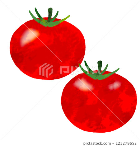 Watercolor tomato Watercolor tomato 123279652