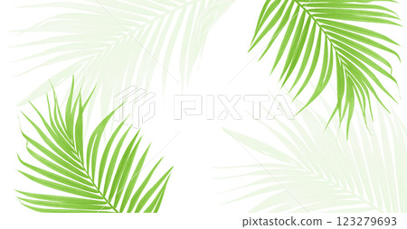 Palm green leaf tropical plant frame border isolated on white background. 123279693
