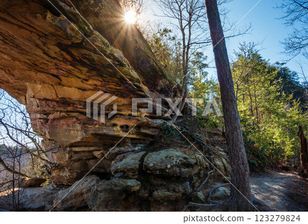 Double Arch in Red River Gorge 123279824