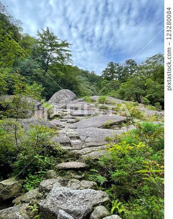 Walking through the lush forests of Yakushima | World Heritage Nature [Jomon Cedar and Shiratani Unsuikyo Trekking] 123280084