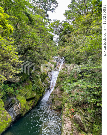 Walking through the lush forests of Yakushima | World Heritage Nature [Jomon Cedar and Shiratani Unsuikyo Trekking] 123280085