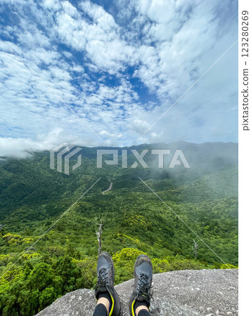 屋久島白谷雲水峽健行|從太光岩眺望世界遺產的自然美景與神秘森林【幽靈公主的神聖森林朝聖之旅】 屋久島白谷雲水峽健行|從太光岩眺望世界遺產的自然美景與神秘森林【幽靈公主的神聖森林朝聖之旅】 123280269