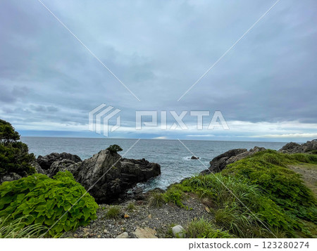 [Yakushima Sea] Princess Mononoke Forest and Bicycle Rental [Cloudy Days and Pilgrimage to the Holy Land] 123280274