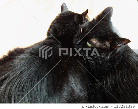 A good friend A good friend 123281359