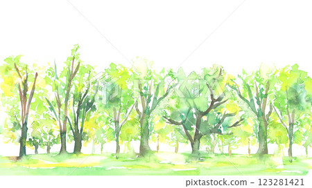 Beautiful watercolor forest landscape illustration Beautiful watercolor forest landscape illustration 123281421