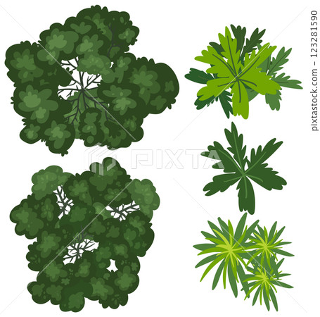 Top View of Diverse Green Foliage 123281590