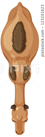 Top View of a Camel Illustration 123281623