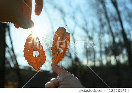 用枯葉做臉 123281714