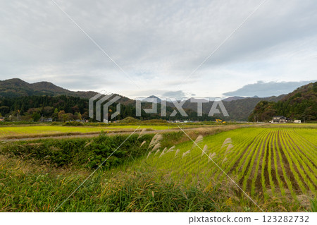 The historic old road "Salt Road" and its surrounding areas 123282732