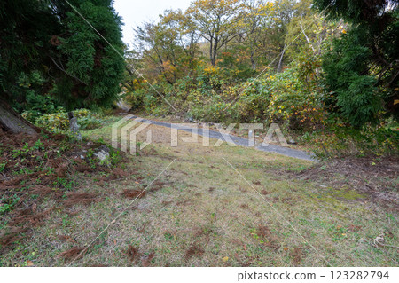 The historic old road "Salt Road" and its surrounding areas The historic old road "Salt Road" and its surrounding areas 123282794