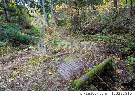 The historic old road "Salt Road" and its surrounding areas 123282810