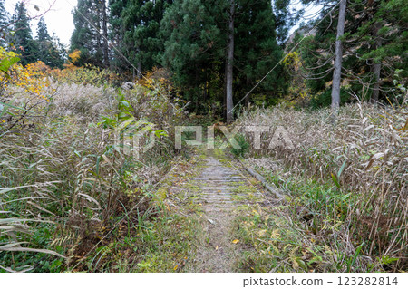 The historic old road "Salt Road" and its surrounding areas The historic old road "Salt Road" and its surrounding areas 123282814