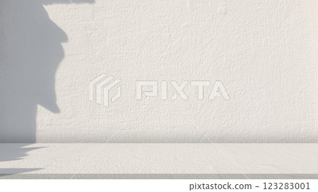 Empty grey cement wall floor and wall room loft style, Perspectives background of nature cement texture with shadow from the sun, Well display product and text present on free space, Exhibition area. 123283001