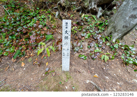 歷史悠久的古道「鹽路」及其周邊地區 123283146
