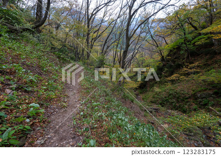 歷史悠久的古道「鹽路」及其周邊地區 歷史悠久的古道「鹽路」及其周邊地區 123283175