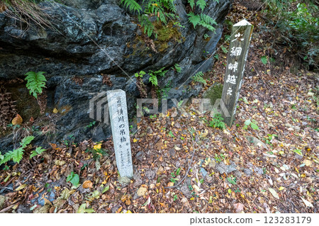 The historic old road "Salt Road" and its surrounding areas 123283179