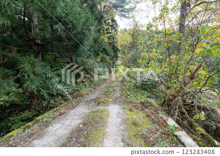 The historic old road "Salt Road" and its surrounding areas 123283408
