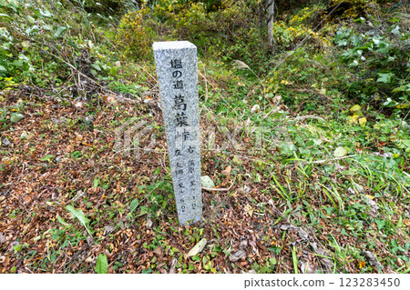 The historic old road "Salt Road" and its surrounding areas 123283450