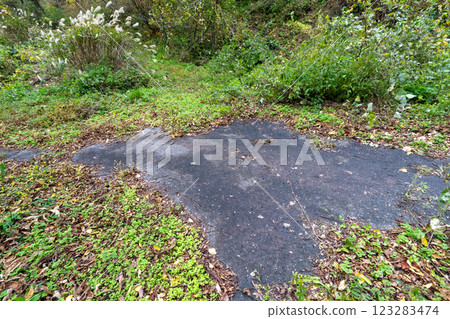 歷史悠久的古道「鹽路」及其周邊地區 123283474