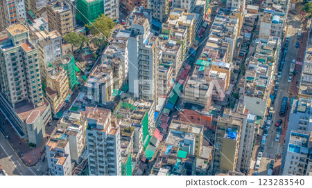 Tai Po Market Bustling Traditional Market Hong Kong Jan 30 2025 Tai Po Market Bustling Traditional Market Hong Kong Jan 30 2025 123283540