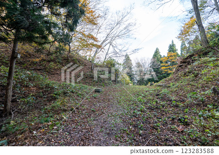 The historic old road "Salt Road" and its surrounding areas 123283588
