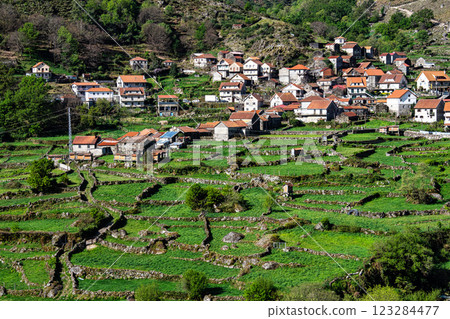 Small village of Roucas with its traditional agricultural, terraced fields at the Peneda Geres National Park in Portugal 123284477