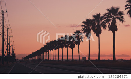 千葉Fornia夜景 千葉Fornia夜景 123284571