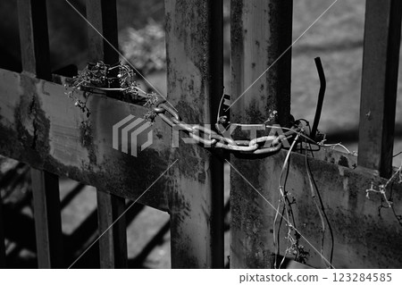 rusty iron gate 123284585