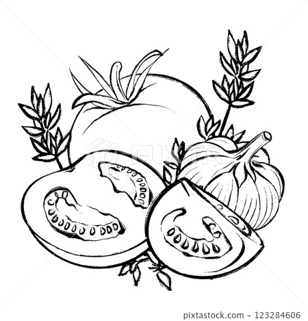 Vector drawing of tomatoes, garlic, and herbs Vector drawing of tomatoes, garlic, and herbs 123284606