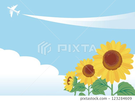 Frame banner summer sunflower airplane sea sky background design template illustration material 123284609