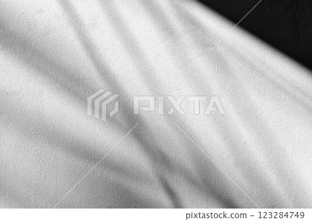 White Stucco Wall Texture Background with Natural Light Beam and Shadow. White Stucco Wall Texture Background with Natural Light Beam and Shadow. 123284749