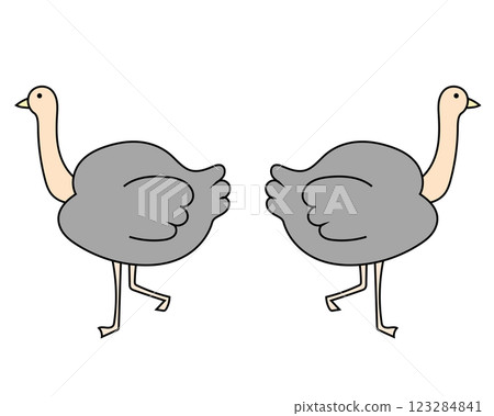 Ostrich passing each other 123284841