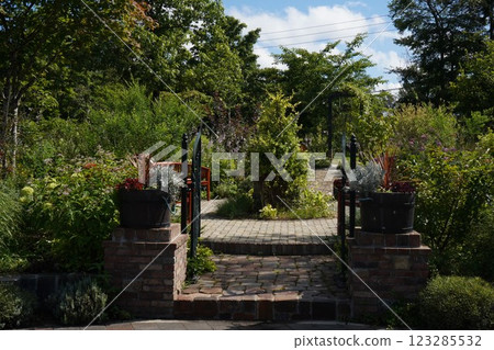 Aozora花園 123285532