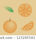 orange and its parts in pixel art style, retro style 123285581