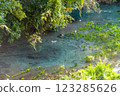 Spring of Kakita River Park 123285626