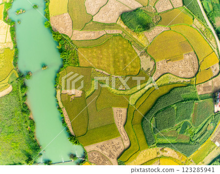 Aerial wide angle view of landscape with rice field at Phong Nam village in Trung Khanh, Cao Bang province,Northern Vietnam Aerial wide angle view of landscape with rice field at Phong Nam village in Trung Khanh, Cao Bang province,Northern Vietnam 123285941