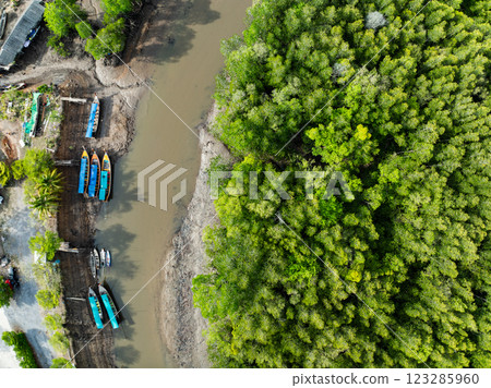 Top view Forest lake landscape,Rainforest ecosystem and healthy environment concept and nature background,Texture of green trees forest view from above, Aerial view Green mangrove trees background 123285960