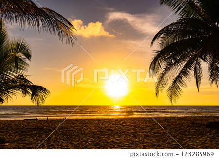 Silhouette coconut palm trees at sunset or sunrise sky over sea, Amazing colorful light sky nature landscape, Beautiful nature sky and clouds background 123285969