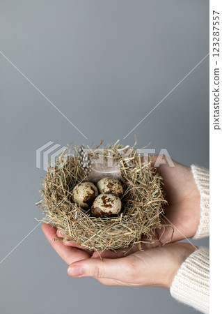 Female hands hold three spotty small eggs in birds nest on grey background. Easter concept, vertical photo. Female hands hold three spotty small eggs in birds nest on grey background. Easter concept, vertical photo. 123287557
