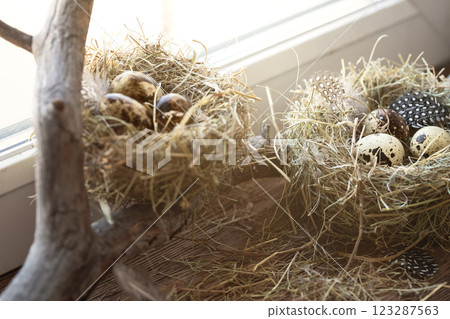 Atmospheric Easter set. Two symbolic birds nests with small spotty eggs among branch and hay on windowsill. 123287563