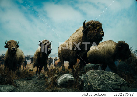 Winnipeg, Manitoba, Canada - may 2 2024 The Manitoba Museum  123287588