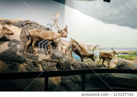 Winnipeg, Manitoba, Canada - may 2 2024 The Manitoba Museum  123287592